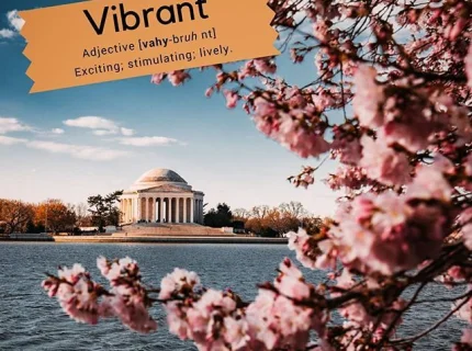 vibrant