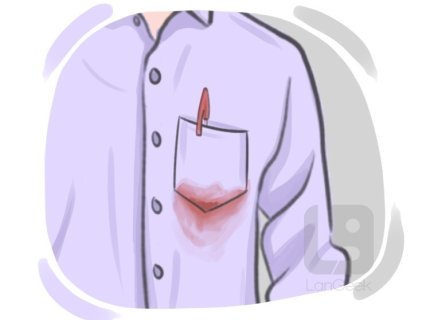 stain