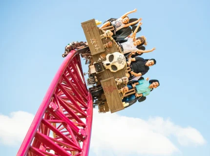 amusement