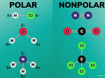 polar