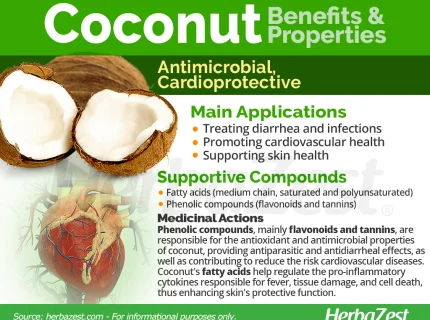 coconut