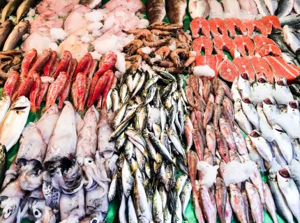 seafood
