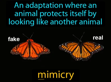 mimic