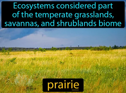 prairie