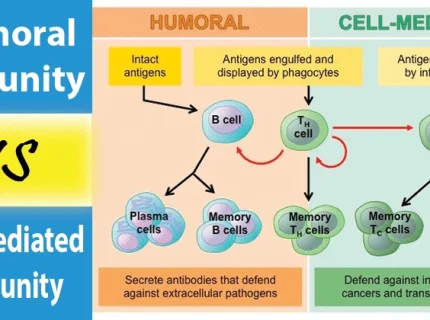 immunity