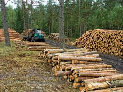 lumber