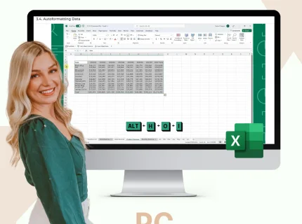 excel