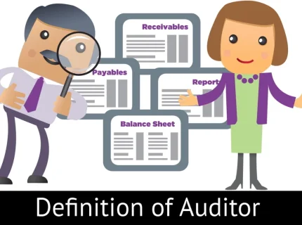 auditor