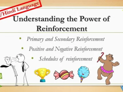 reinforcement
