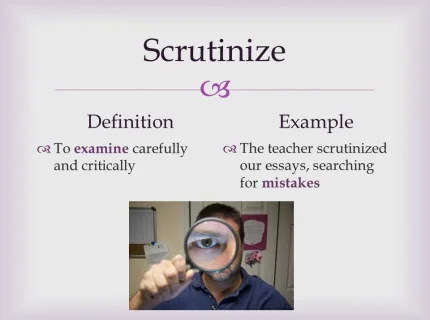 scrutinize