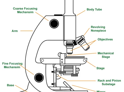 microscope