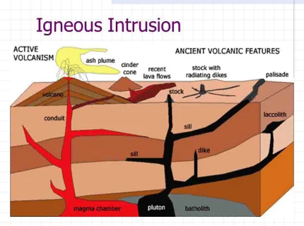 intrusion