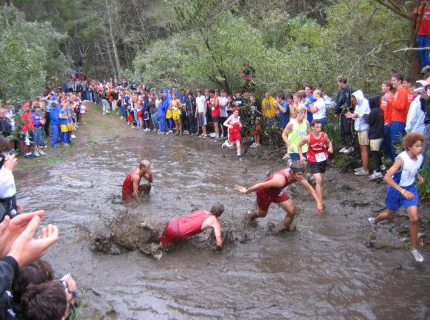 cross-country