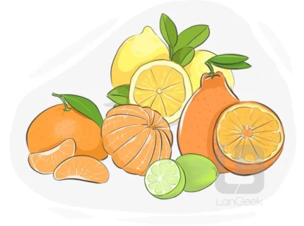 citrus