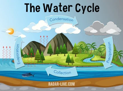 rainfall