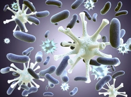 germ