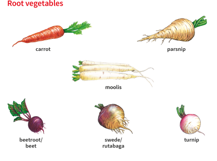 beet