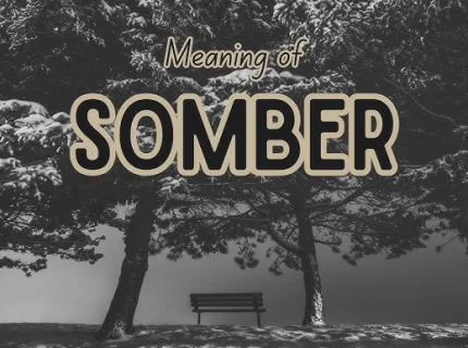 somber