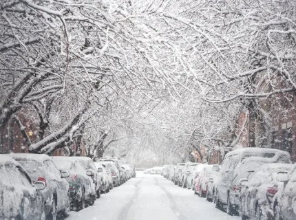 snowy