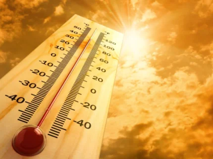 thermometer