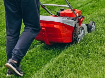 mow