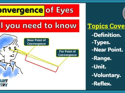 convergence