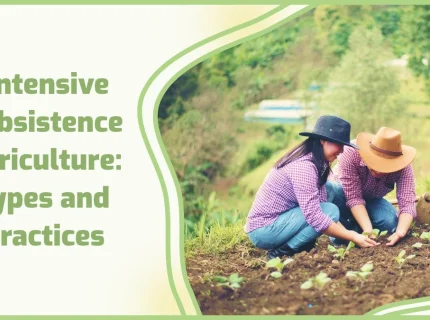 subsistence