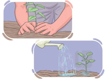nourish