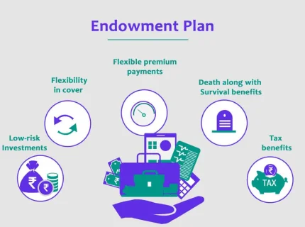 endowment